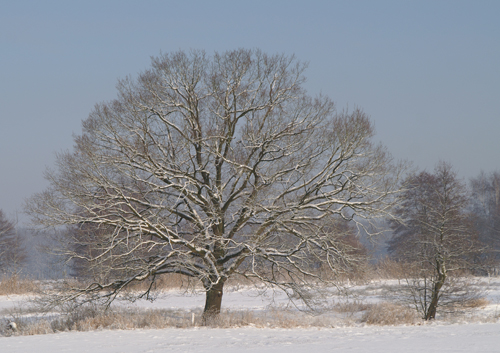 Blick ber die Wiesen