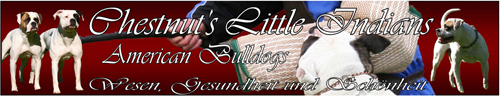 Banner Gesa Klein03