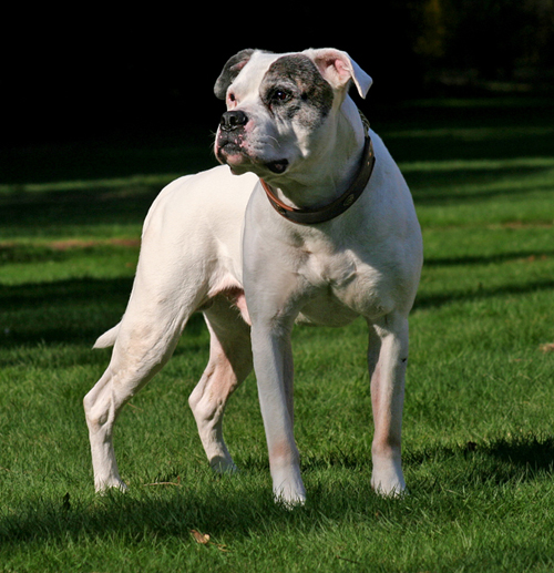 Ozzy11JahreK
