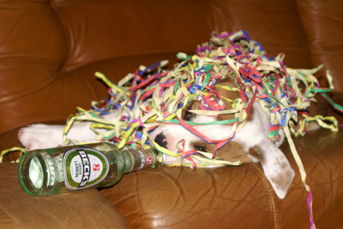 Matty schaut in die Flasche...