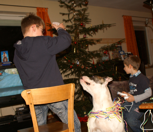 Lass uns teilen!