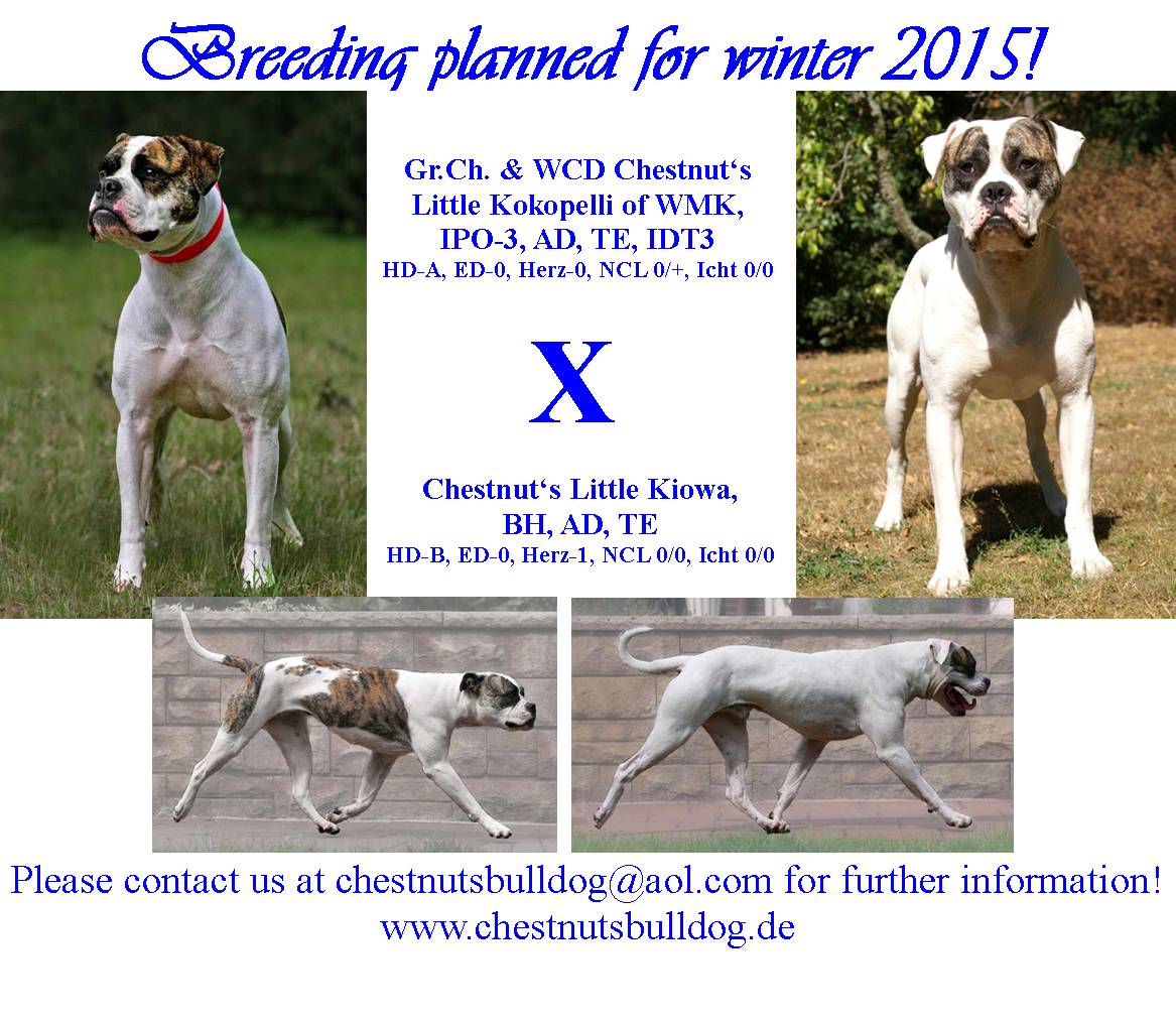 TexxMiniWinter15